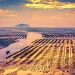 Manuel Saavedra avatar