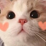 Daniela Solís avatar